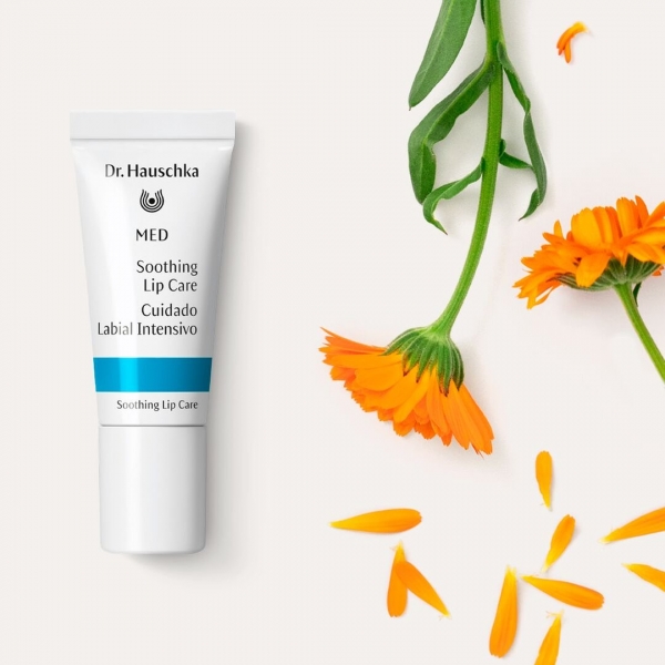 Dr Hauschka MED Soothing Lip Care